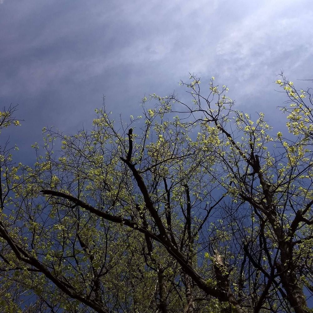 Meet your Posher, Darrell